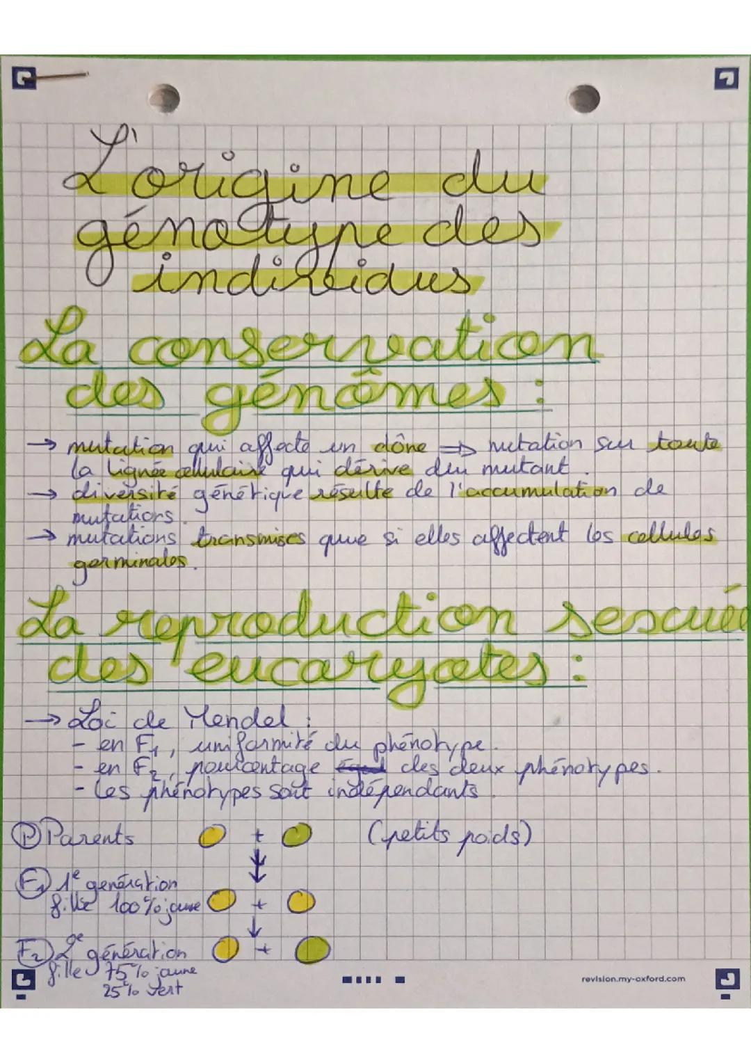 L'origine du génotype des individus 