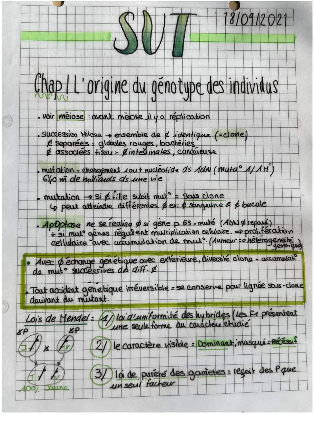 3
O
es lies (linkage)
Brassage avec genes
2 races pures drasophile
P dr. sauvage
X Pdr. phénotype alternatif
F1 dros. hybride
=>
La F1 posse