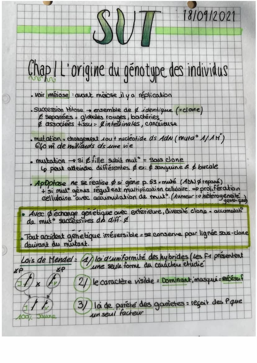 3
O
es lies (linkage)
Brassage avec genes
2 races pures drasophile
P dr. sauvage
X Pdr. phénotype alternatif
F1 dros. hybride
=>
La F1 posse
