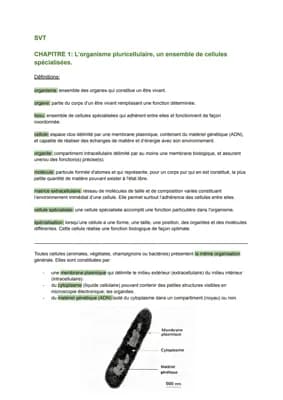 Know L’organisme pluricellulaire, un ensemble de cellules spécialisées. thumbnail