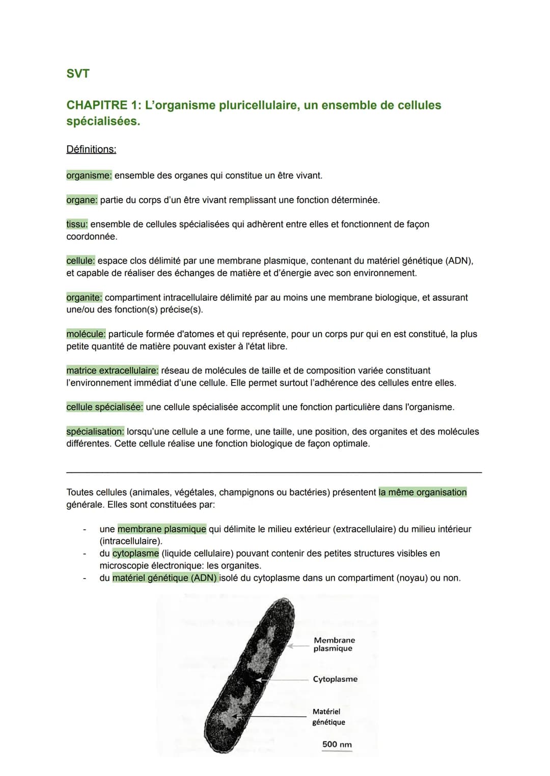 SVT
CHAPITRE 1: L'organisme pluricellulaire, un ensemble de cellules
spécialisées.
Définitions:
organisme: ensemble des organes qui constitu