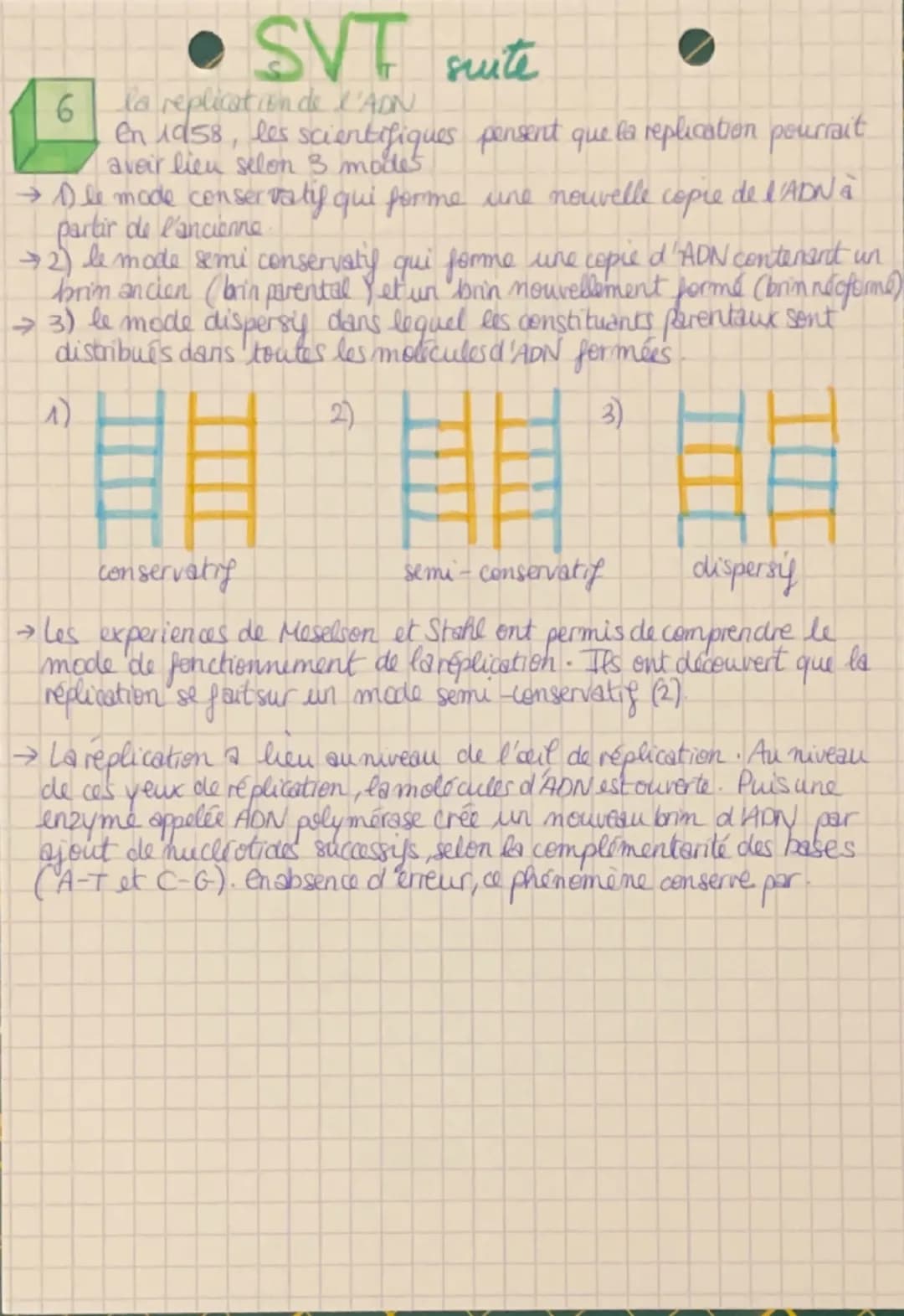 SVF la Terre, la vie
l'organisation du vivant
1
le cycle cellulaire
4728
G-2
2crematides
M
Chromosome double
replication>
S
G1
chromosome
Si