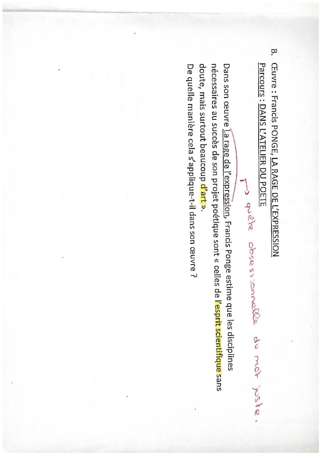 dissertation « la rage de l’expression » 19/20