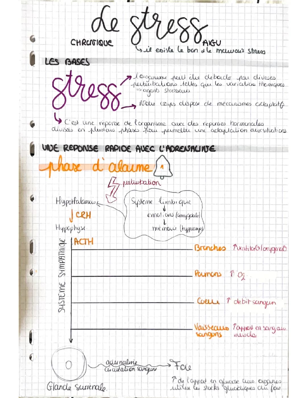 Fiche SVT terminale « le stress »