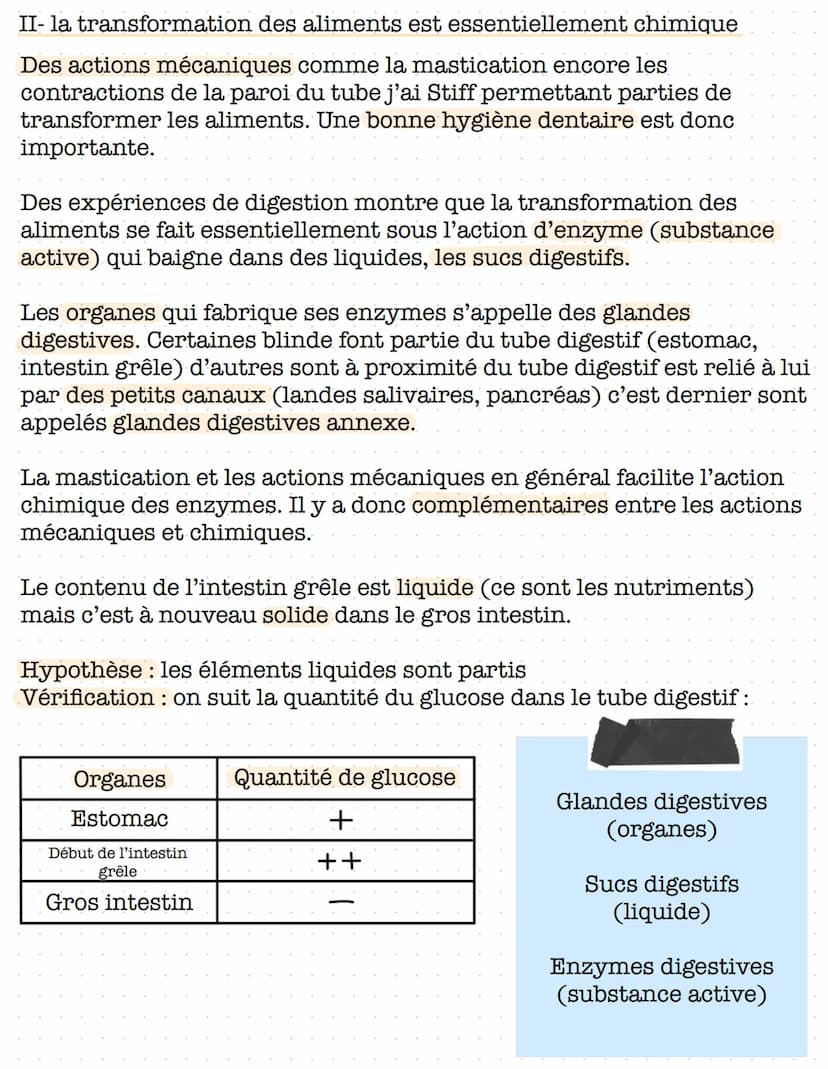 S. V. T
4
La digestion
I- dans le tube digestif, les aliments sont transformés en nutriments
A: le trajet des aliments
Les aliments entrent 
