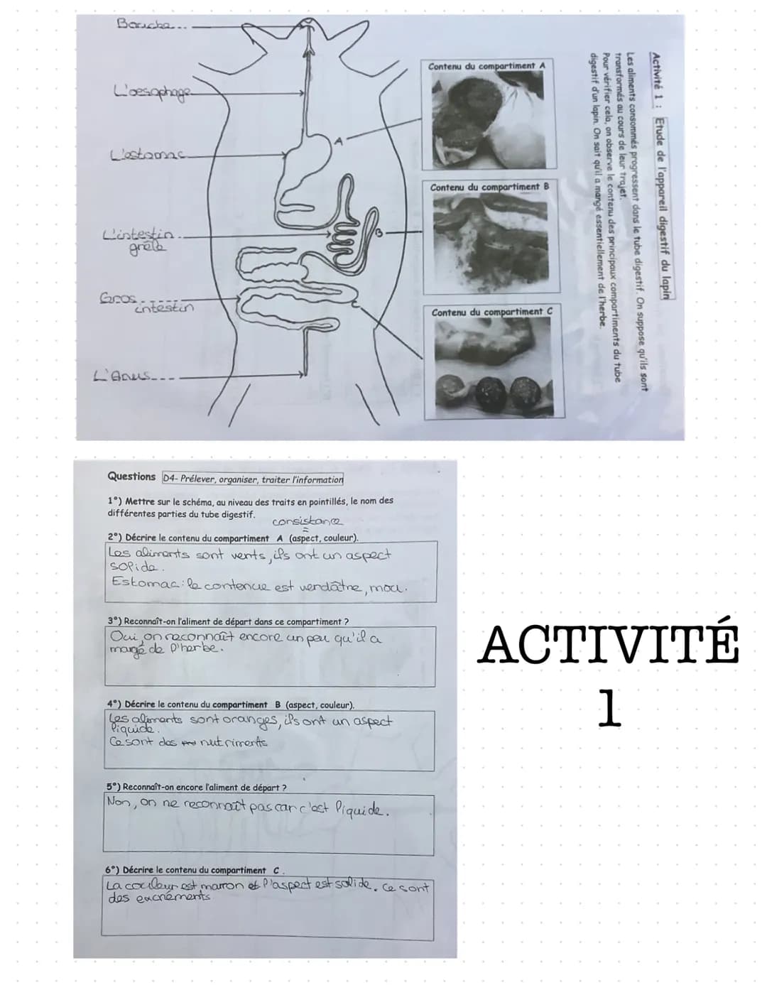 S. V. T
4
La digestion
I- dans le tube digestif, les aliments sont transformés en nutriments
A: le trajet des aliments
Les aliments entrent 