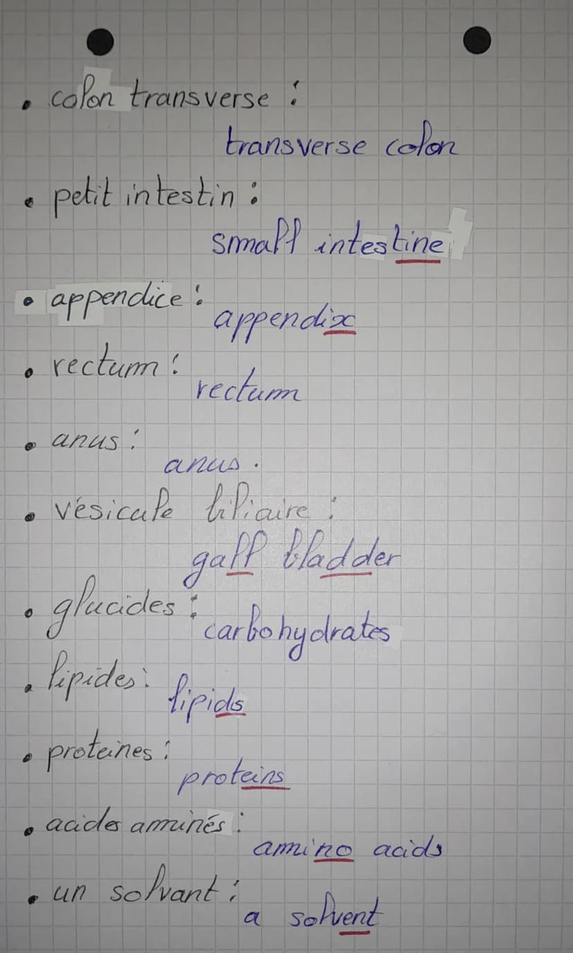 
<h2 id="lesarticlespourlascurit">Les articles pour la sécurité</h2>
<ul>
<li>Un évier</li>
<li>Des lunettes de sécurité</li>
<li>Une pince 