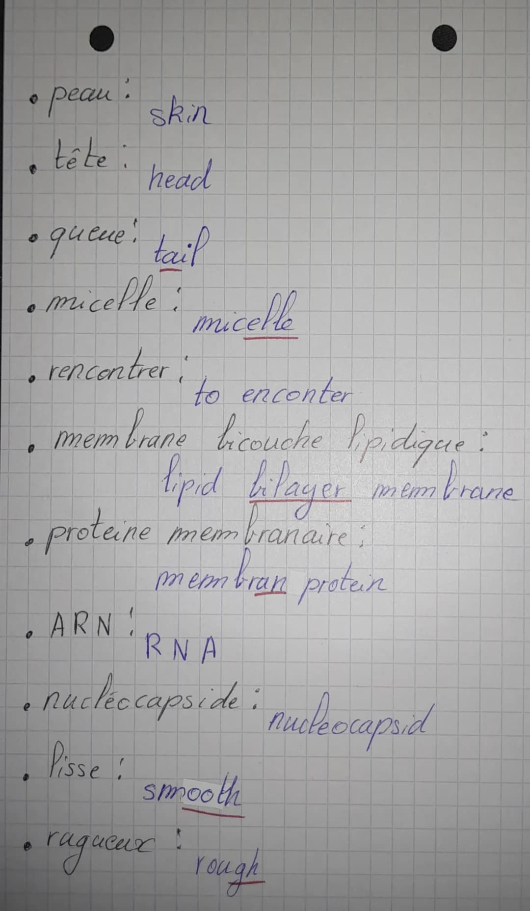
<h2 id="lesarticlespourlascurit">Les articles pour la sécurité</h2>
<ul>
<li>Un évier</li>
<li>Des lunettes de sécurité</li>
<li>Une pince 