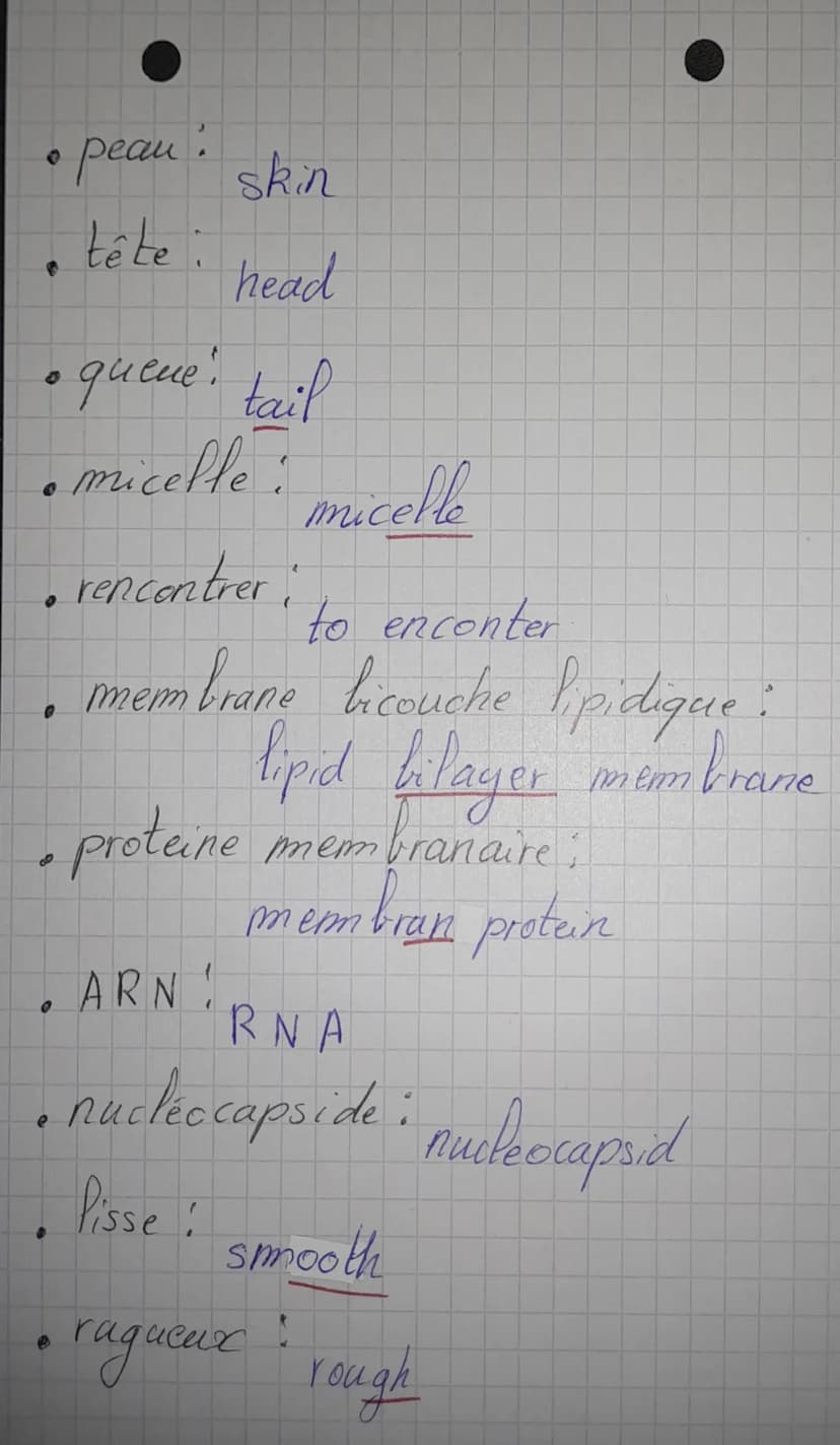 
<h2 id="lesarticlespourlascurit">Les articles pour la sécurité</h2>
<ul>
<li>Un évier</li>
<li>Des lunettes de sécurité</li>
<li>Une pince 