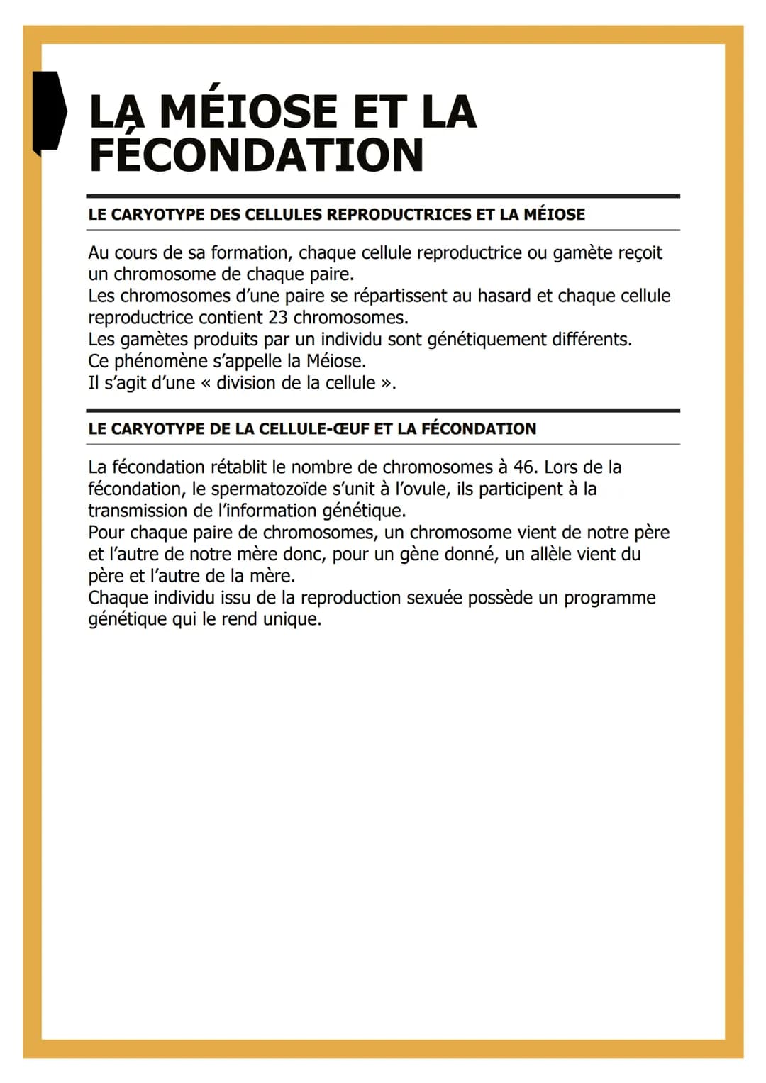 LA MÉIOSE ET LA
FECONDATION
LE CARYOTYPE DES CELLULES REPRODUCTRICES ET LA MÉIOSE
Au cours de sa formation, chaque cellule reproductrice ou 