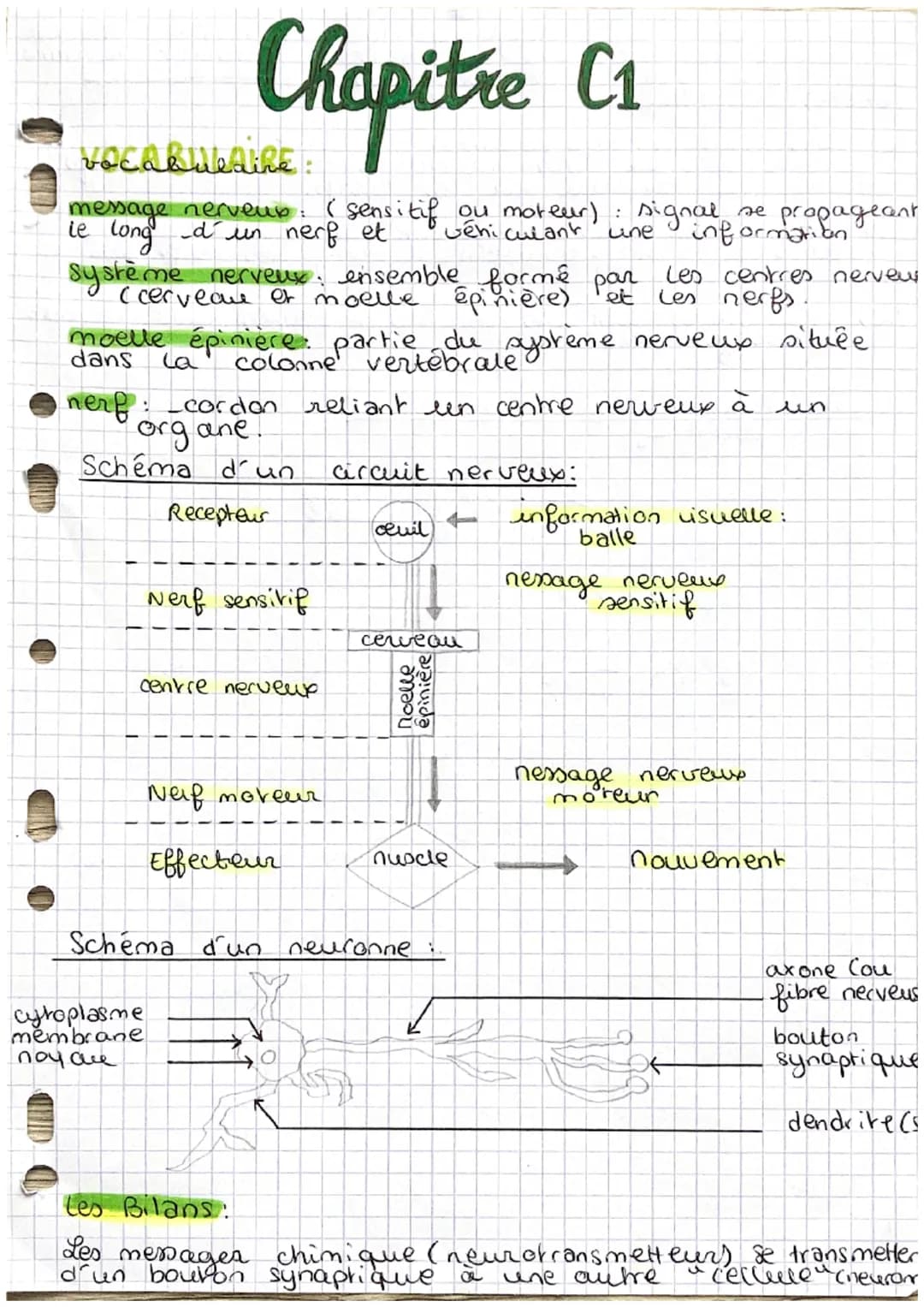 Chapitre C1
VOCABULAIRE
message nerveux: ( sensitif ou moteur) :
le long d´un nerf et
vehiculant
of et
Line
système nerveux: ensemble formé 
