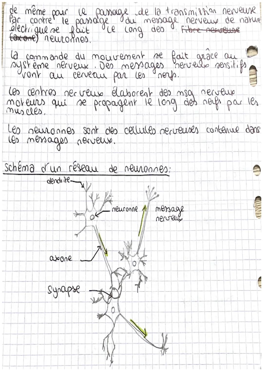 Chapitre C1
VOCABULAIRE
message nerveux: ( sensitif ou moteur) :
le long d´un nerf et
vehiculant
of et
Line
système nerveux: ensemble formé 