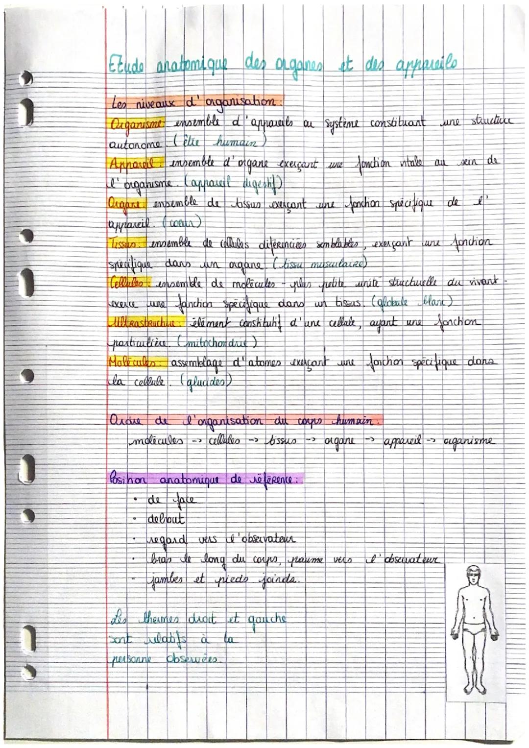Etude anatomique des organes et des appareils
Les niveaux
d' organisation
Organisme ensemble d'appareils au système constituant une structur