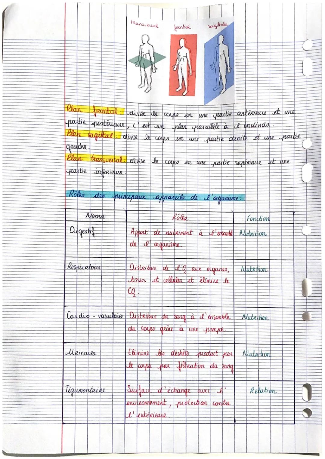 Etude anatomique des organes et des appareils
Les niveaux
d' organisation
Organisme ensemble d'appareils au système constituant une structur