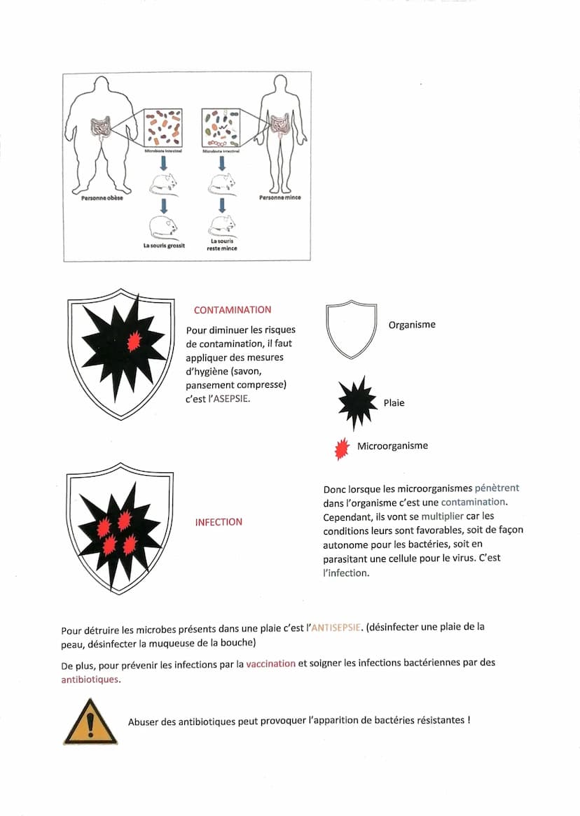 SVT
Thème: le corps humain et la santé
Chapitre 1: L'organisme face à une infection
Notre corps abrite de nombreux micro-organismes (être mi
