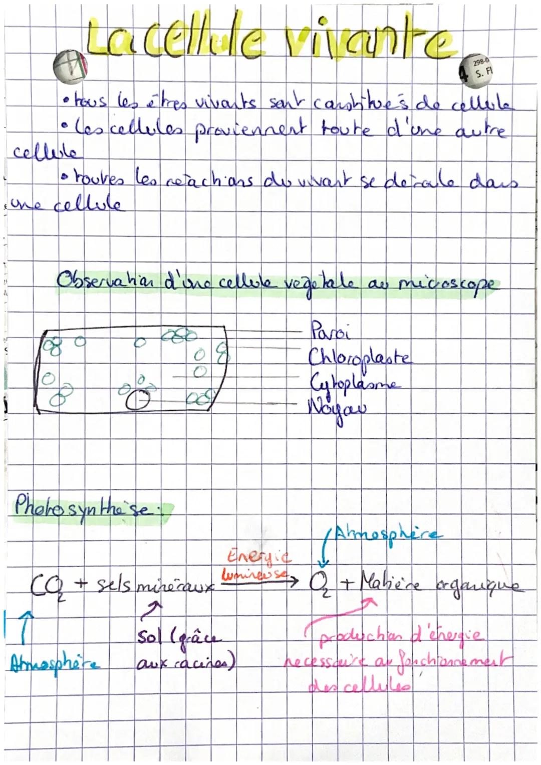 # Lacettile vivante

298-0
S. FI

*   tous les étres vivants sont constitue's de celle
*   Les cellules proviennent toute d'une autre
cellul