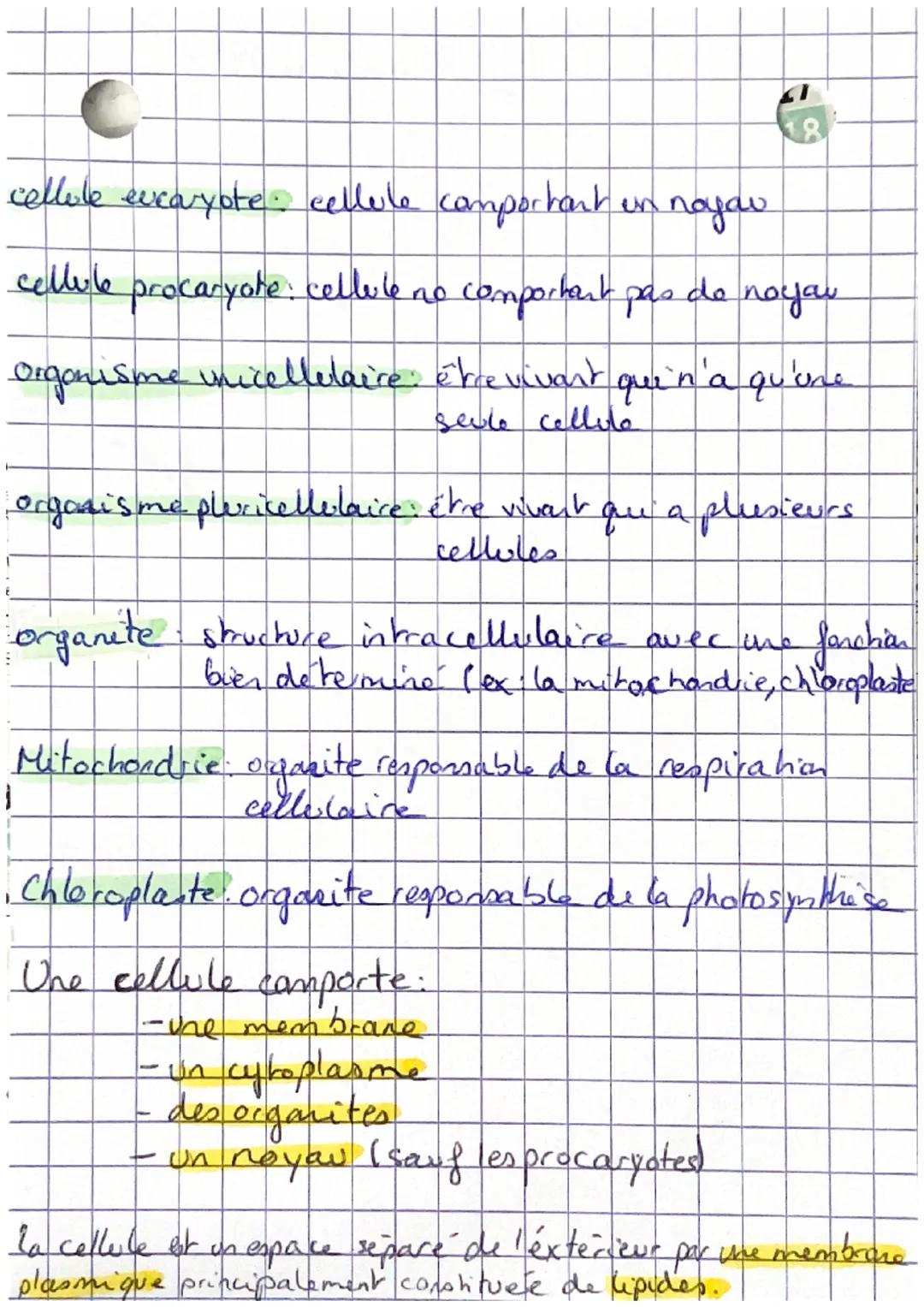 # Lacettile vivante

298-0
S. FI

*   tous les étres vivants sont constitue's de celle
*   Les cellules proviennent toute d'une autre
cellul