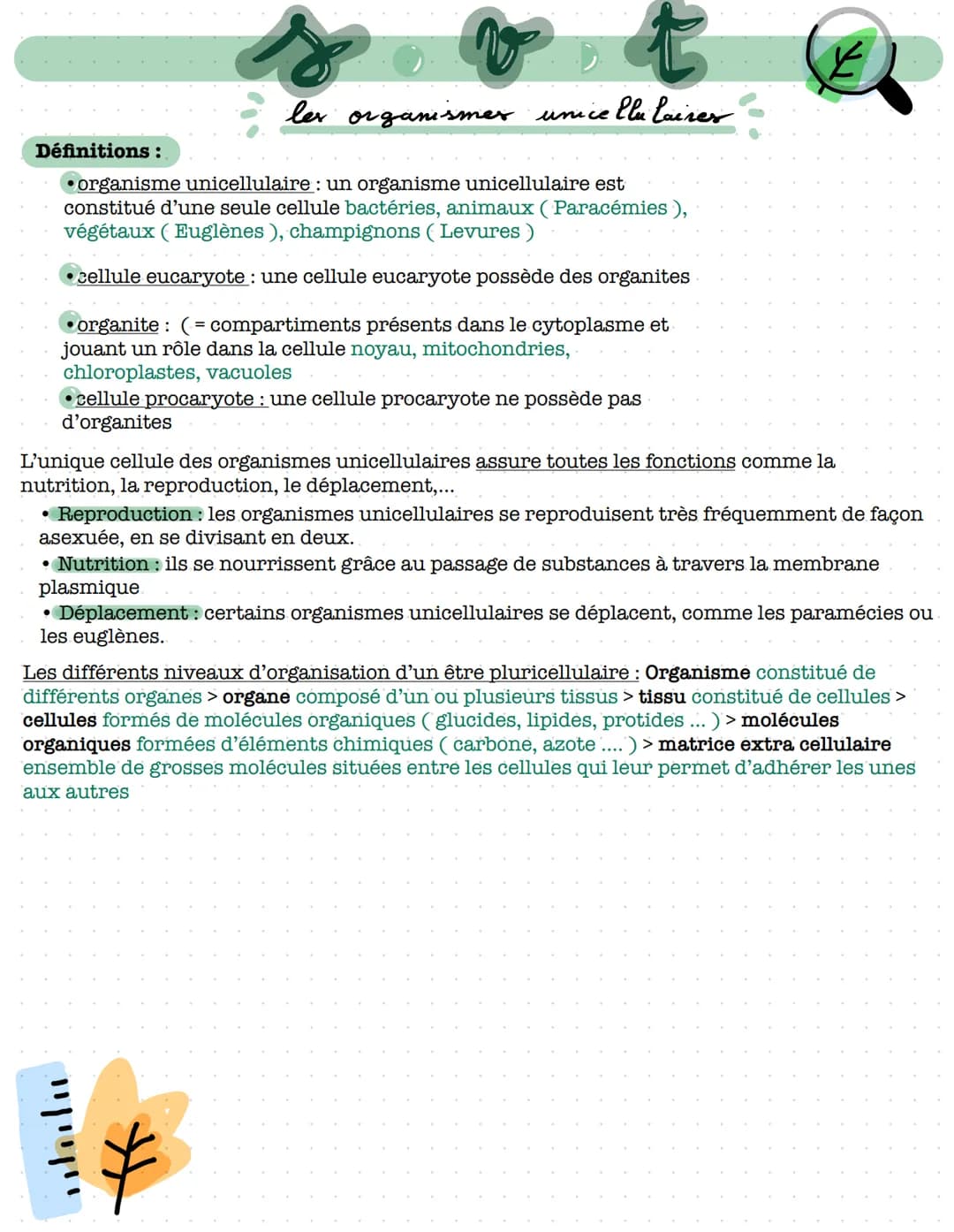 Définitions :
organisme unicellulaire : un organisme unicellulaire est
constitué d'une seule cellule bactéries, animaux (Paracémies),
végéta