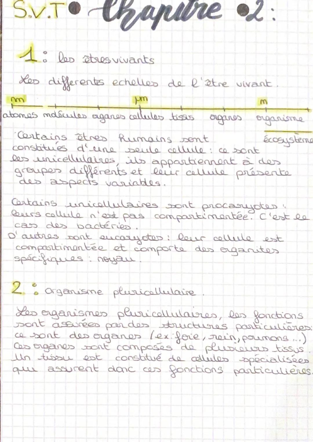 L’organisation cellulaire des êtres vivants 