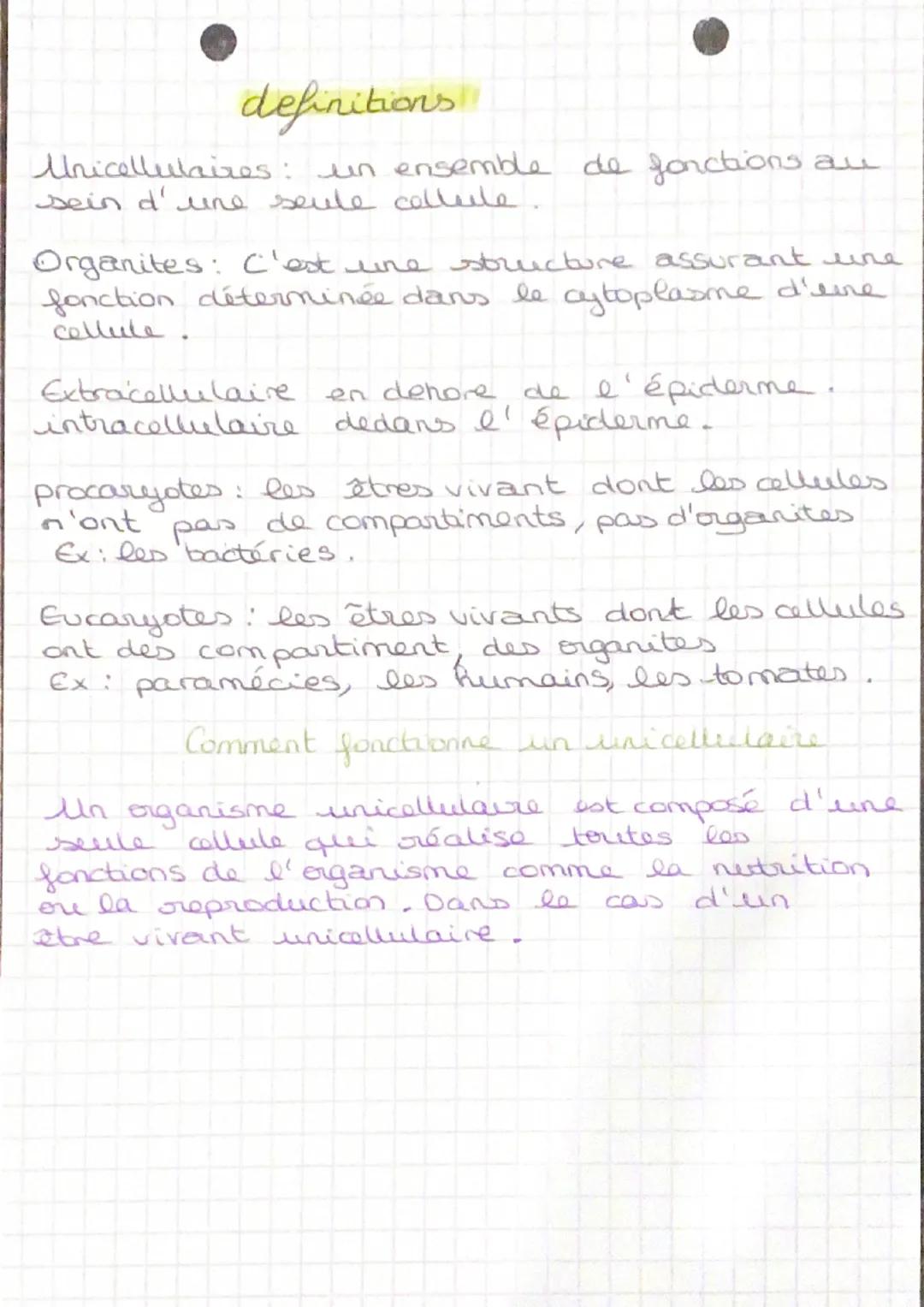 S.V.T Chapitre 2:

1: les êtres vivants

Les differentes echelles de l'être vivant.

3
+
m
atomes ndícules agares cellules tissus

3
organes