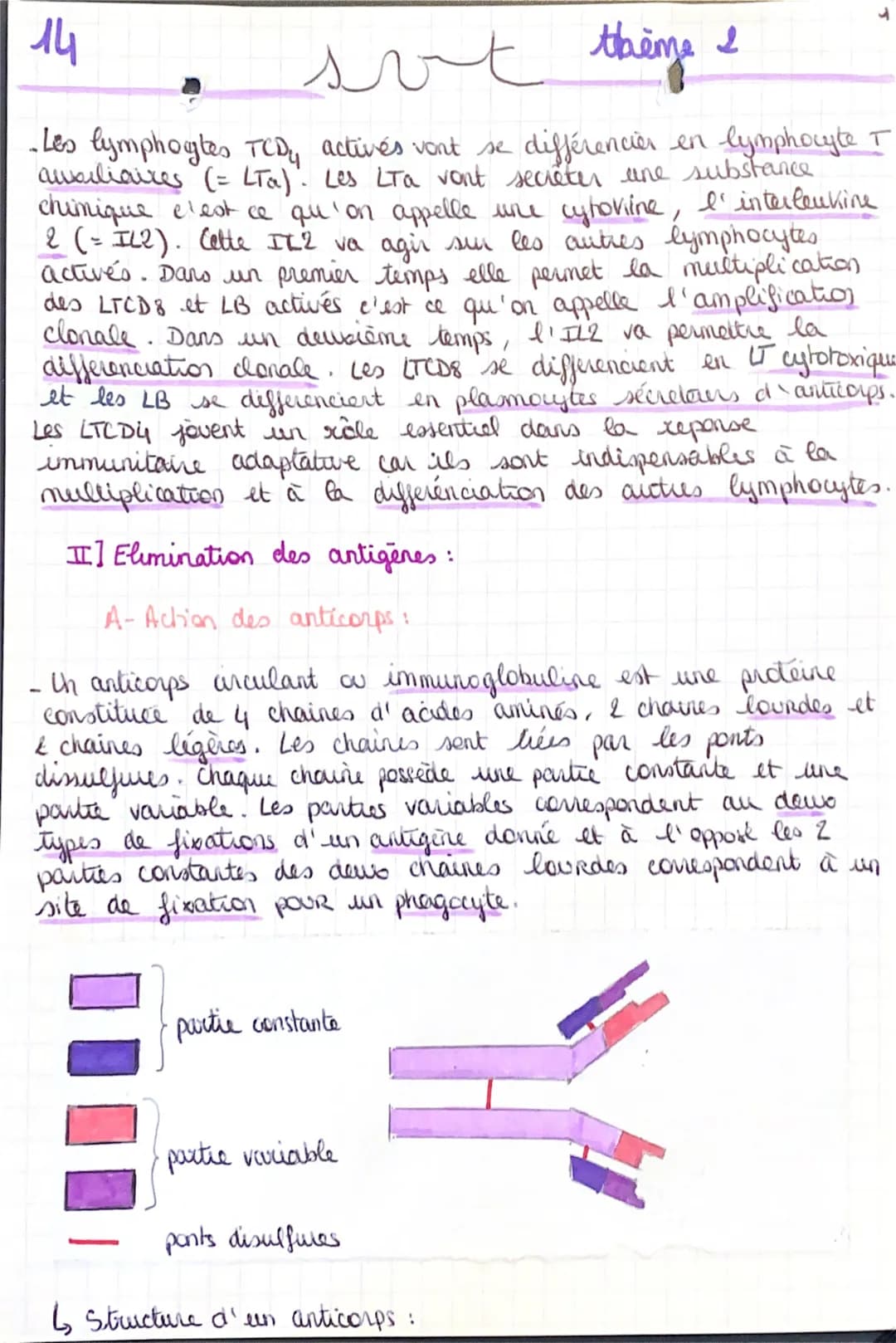 Chapitre : L'immunité adaptative:
Introduction:
-Si la réponse immunitaiice innée n'est pas suffisante pour eliminer
I''antigène. La réponse