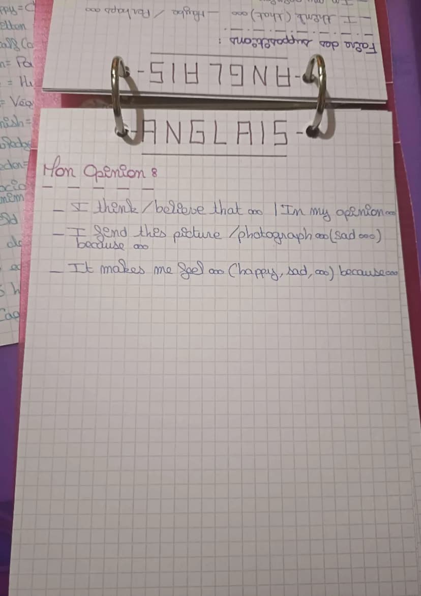 ANGLAIS-
Présenter un document en Anglaiss
Type de document:
Une pointure = a painting
Une affiche de Film = a movie poster
Une PUB= an ad
U