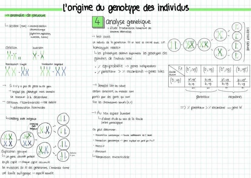 1 Conservation des genomes
rappels:
clone cellulaire ensemble
de & genetiquement identique,
issue de la meme & mere
mitose reproduction
conf