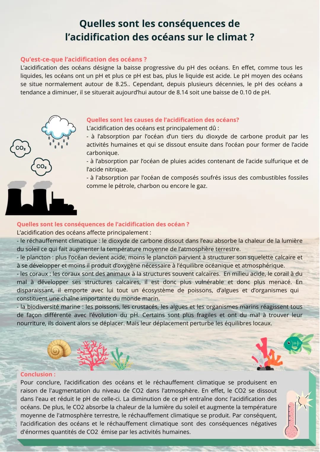 Qu'est-ce-que l'acidification des océans ?
L'acidification des océans désigne la baisse progressive du pH des océans. En effet, comme tous l
