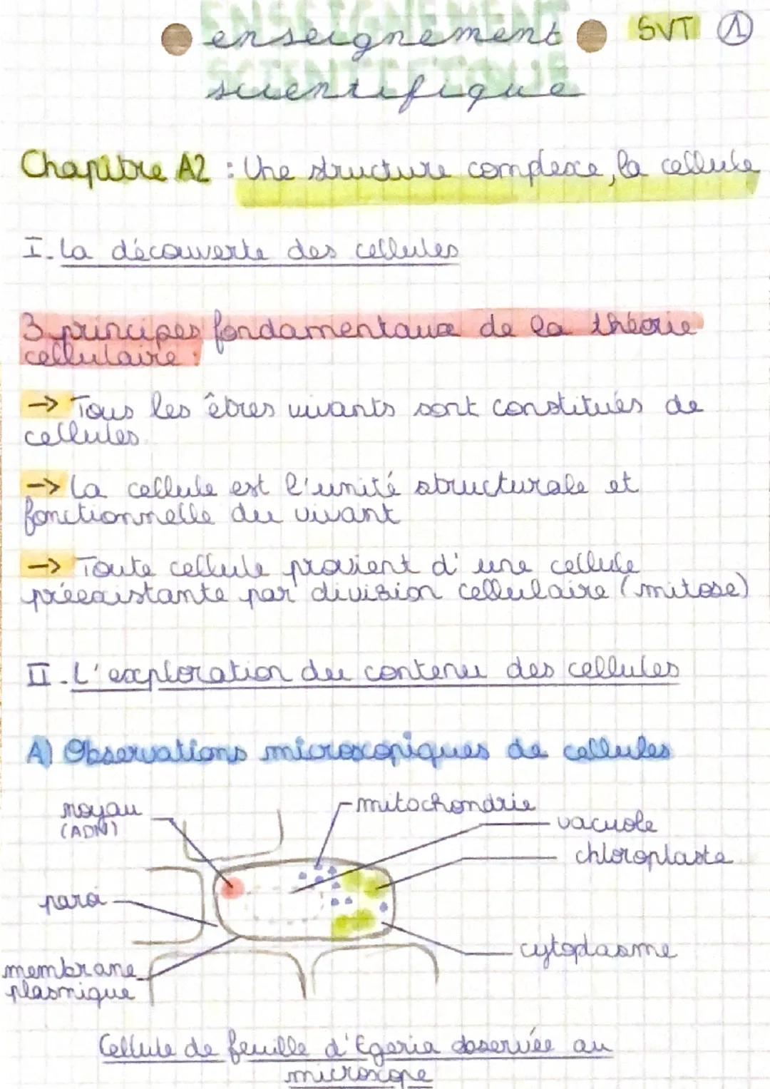 - O enseignement SVT
- suentifique

Chapitre A2: Une structure complexe, la cellule

I. la découverte des cellules

3 principes fondamentaue