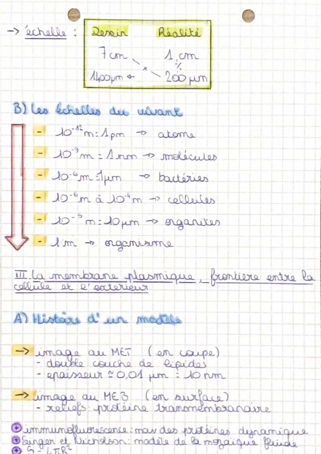 - O enseignement SVT
- suentifique

Chapitre A2: Une structure complexe, la cellule

I. la découverte des cellules

3 principes fondamentaue