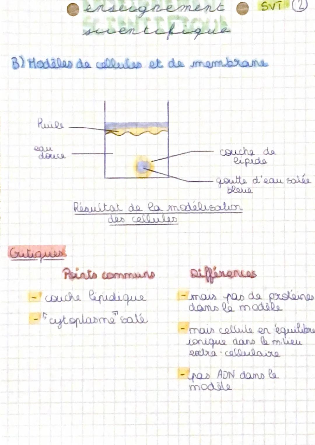 - O enseignement SVT
- suentifique

Chapitre A2: Une structure complexe, la cellule

I. la découverte des cellules

3 principes fondamentaue