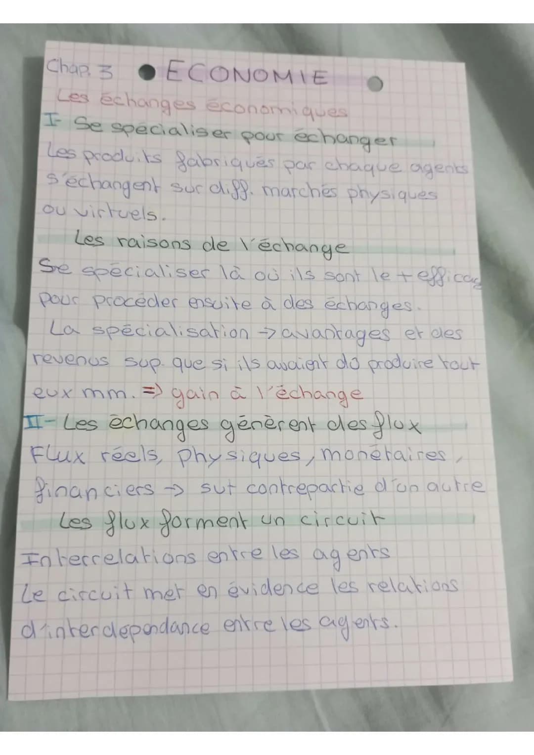 Les échanges économiques