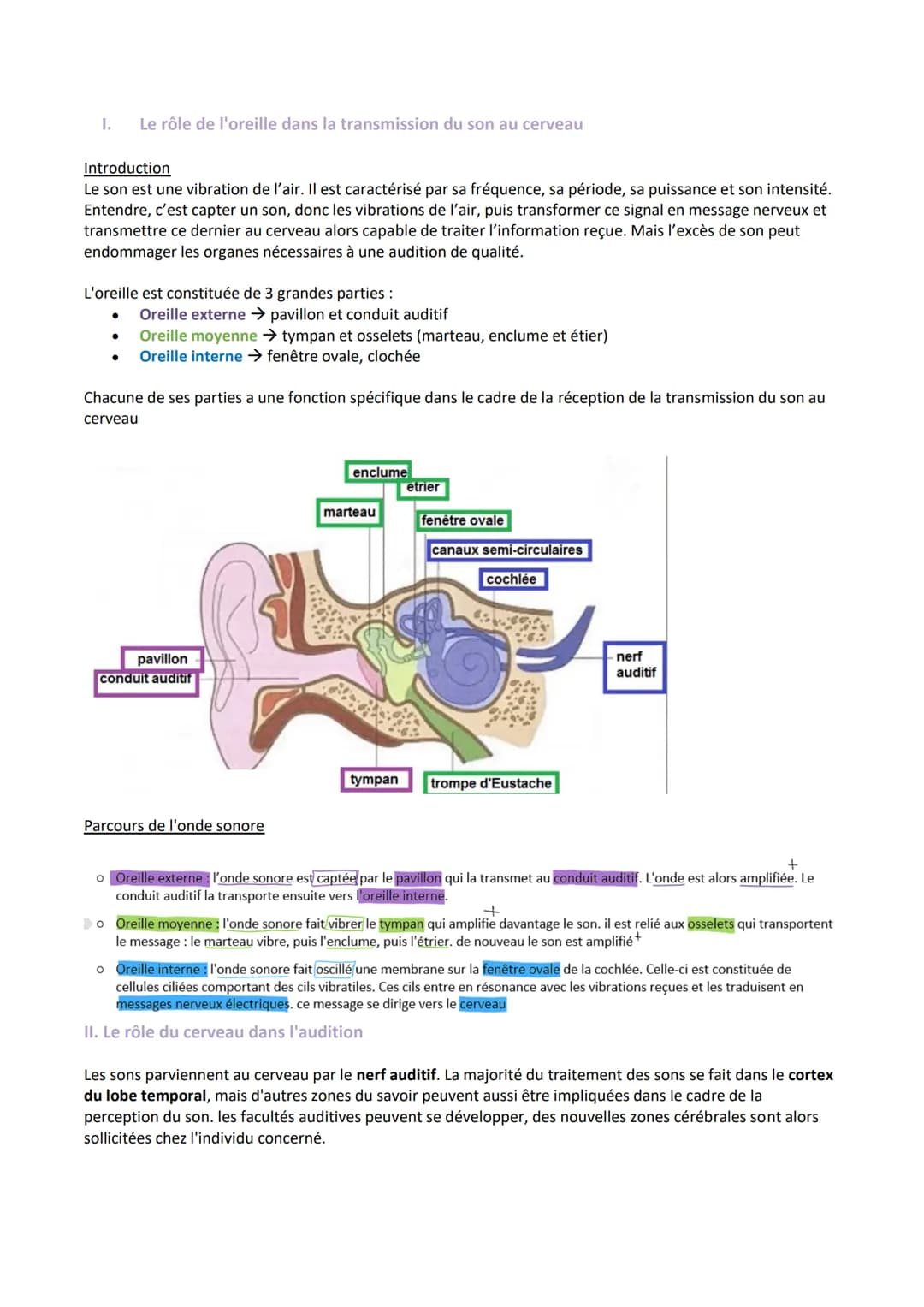 I.
Le rôle de l'oreille dans la transmission du son au cerveau
Introduction
Le son est une vibration de l'air. Il est caractérisé par sa fré