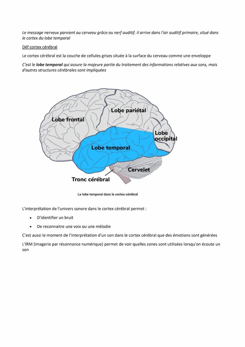 I.
Le rôle de l'oreille dans la transmission du son au cerveau
Introduction
Le son est une vibration de l'air. Il est caractérisé par sa fré