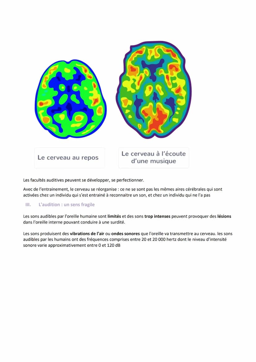 I.
Le rôle de l'oreille dans la transmission du son au cerveau
Introduction
Le son est une vibration de l'air. Il est caractérisé par sa fré