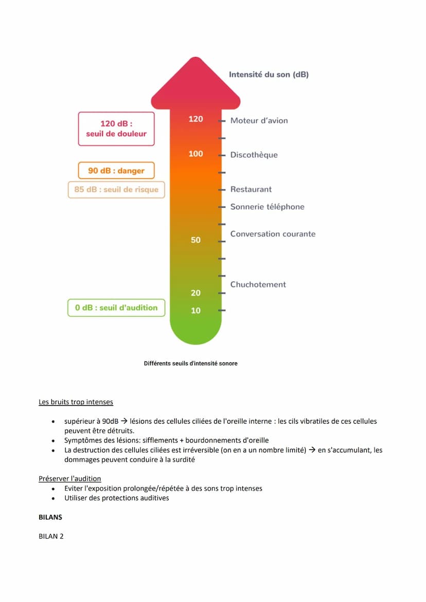 I.
Le rôle de l'oreille dans la transmission du son au cerveau
Introduction
Le son est une vibration de l'air. Il est caractérisé par sa fré