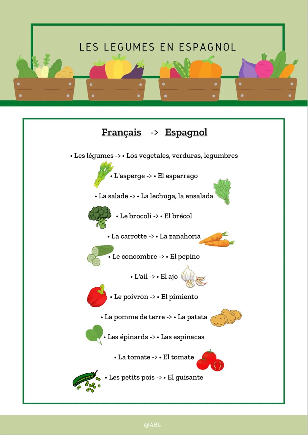 LES LEGUMES EN ESPAGNOL
Français -> Espagnol
• Les légumes -> Los vegetales, verduras, legumbres
L'asperge-> El esparrago
• La salade -> • L