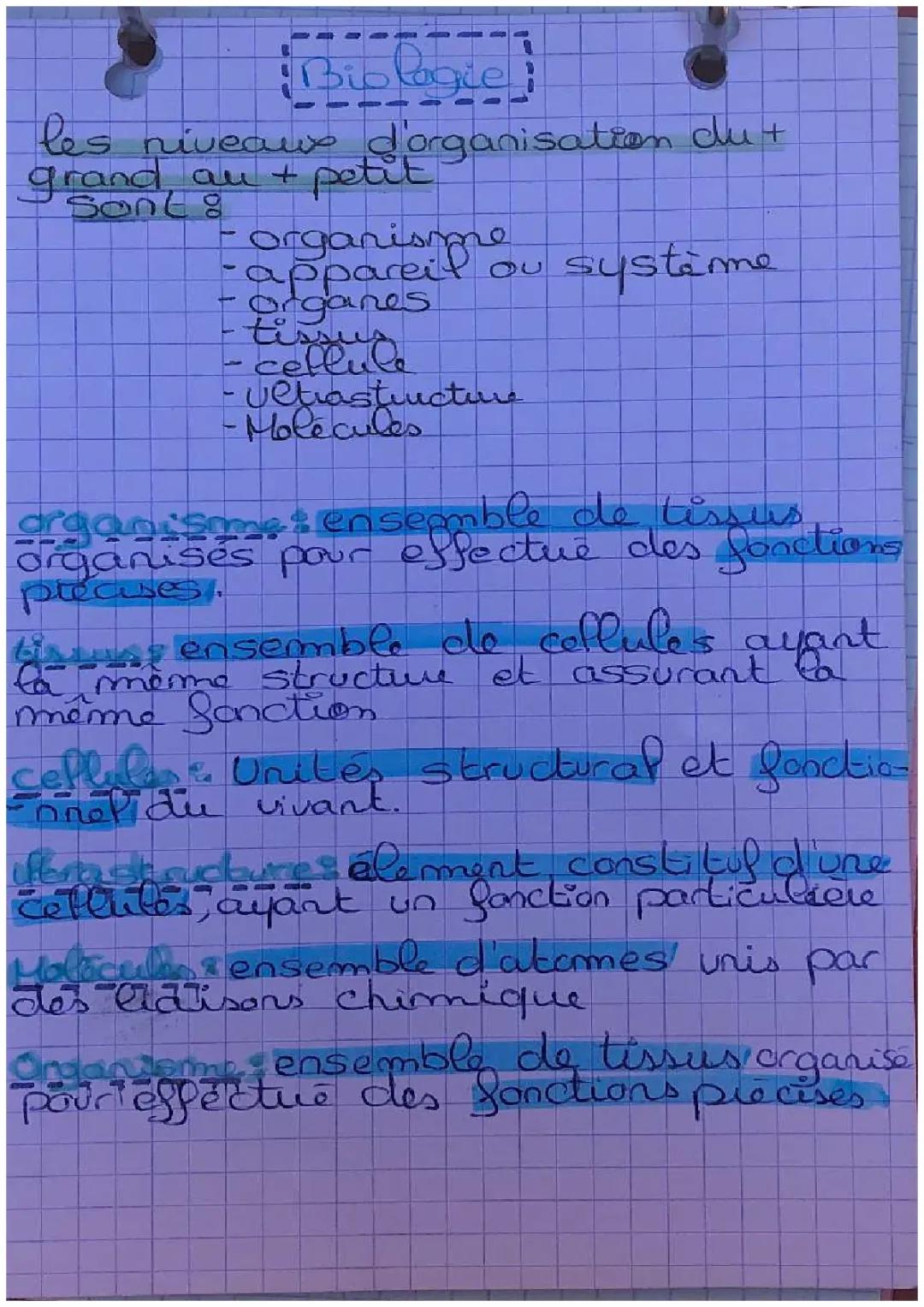les différents plans 