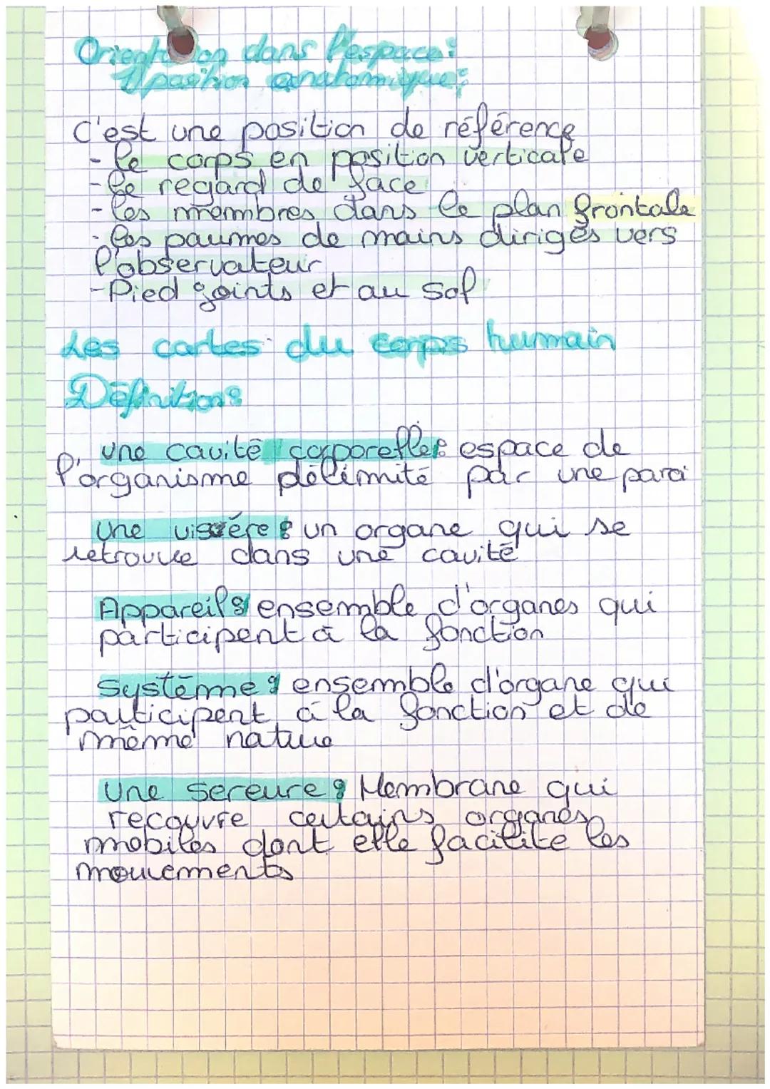 Biologie
les niveaux d'organisation du +
grand au + petit
Sont :
organisme
-appareil ou
organes
- tissule
-
- Ultrastructure
- Molecules
sys