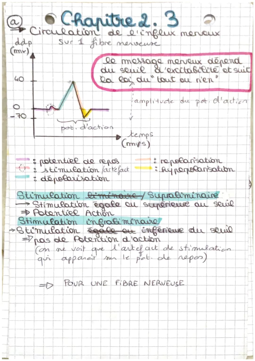 ddp
(mv)
40
• Chapitre 2.3
Circulation de l'influx meroux.
Sur 1 fibre nerveuse
-70
at
le message merveux dépend
du seuil d'excitabilité et 