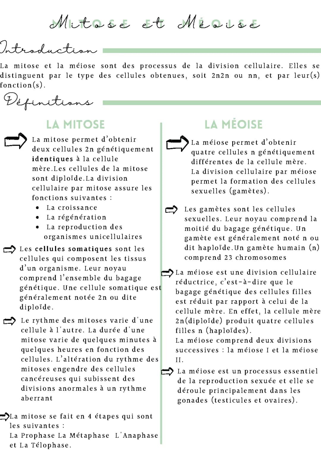 Mitose et Méoise