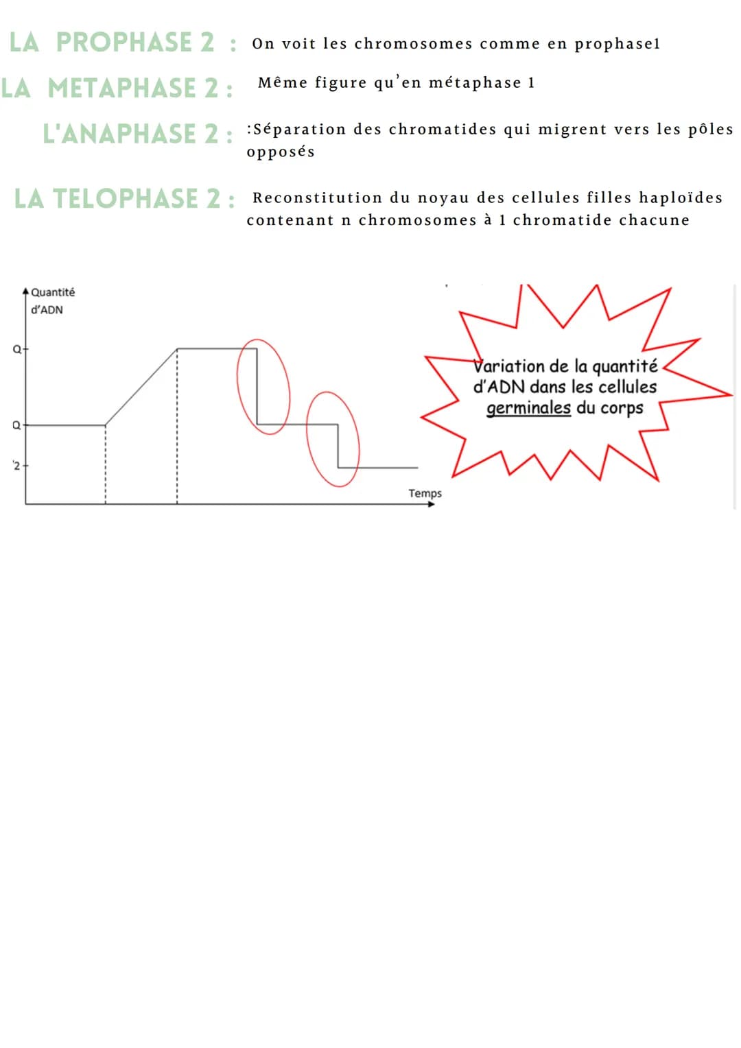 Introduction
La mitose et la méiose sont des processus de la division cellulaire. Elles se
distinguent par le type des cellules obtenues, so