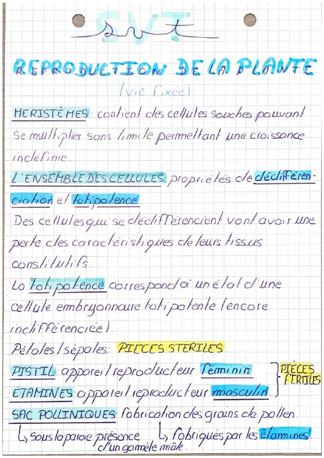 La reproduction des plantes : vie fixée et mobilité - Fiche de révision Terminale PDF