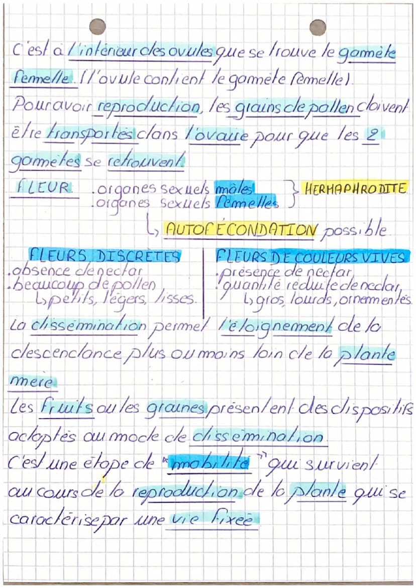 svit
REPRODUCTION DE LA PLANTE
(vie fixée)
MERISTÈMES contient cles cellules souches pouvant
Se multiplier sans limile permettant une croiss