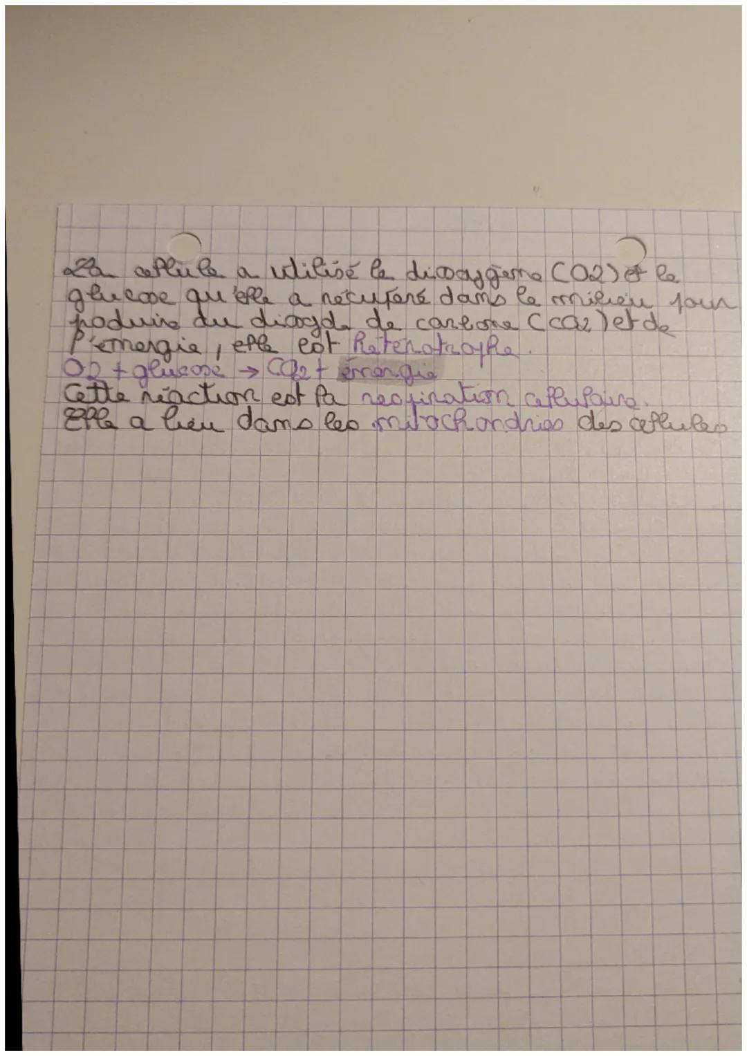 SVT.
Theme 1 La Tenne, Panie et Porganisation du vivant.
Chapitre 1: Lingamisation fonctionnelle du verant
Les organismes pluricapulares bon