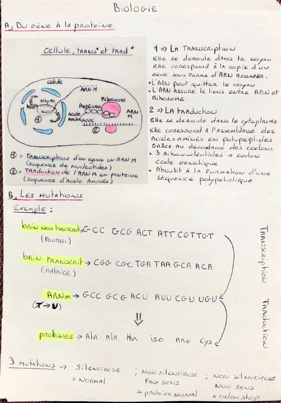  Expression et transmission de l’information génétique 