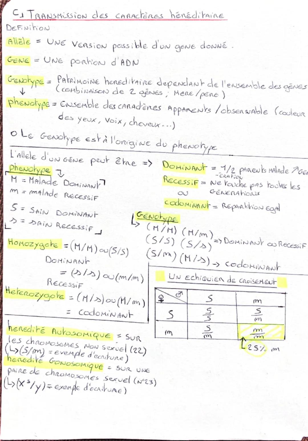 # Biologie

AJ DU GENE À LA Proteine

Cellule, FRANs et rand *

callute

ΑΛΝ Μ

Noy Au

Ribosone

ProteinES

Acile 20000 AR사

AMINE AUCC

②
