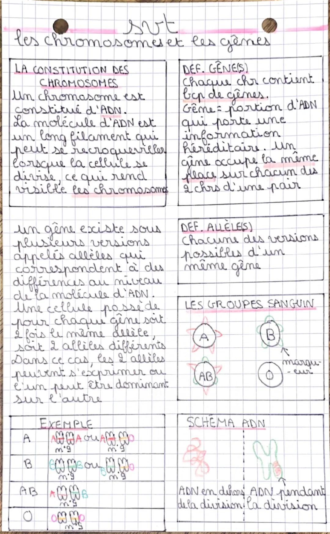 # sut

les chromosomes et les gêmes

LA CONSTITUTION DES
CHROMOSOMES
Un chromosome est
constitué d'ADN.
La molécule d'ADN est
un long filame