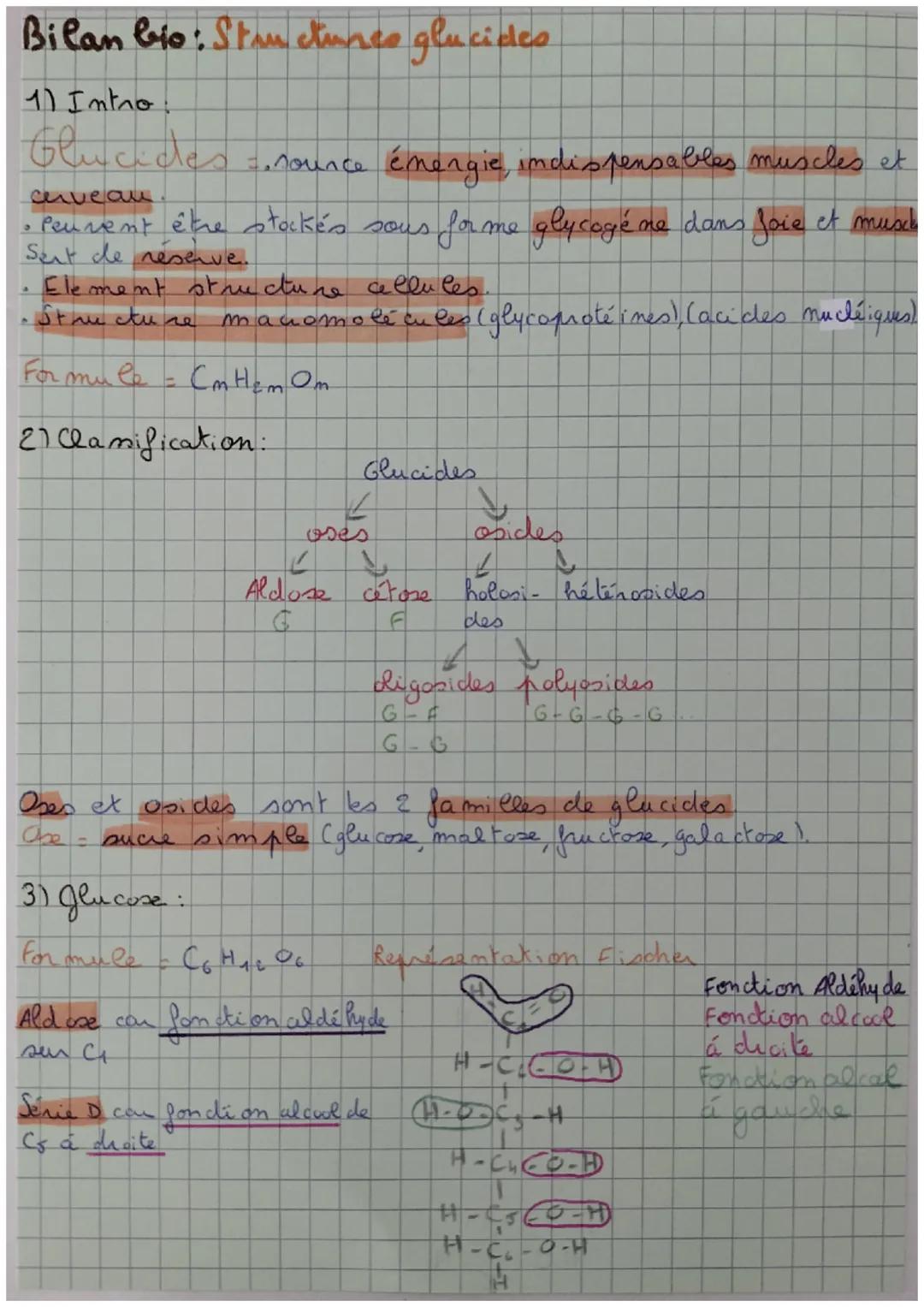 Bilan bio: Structures glucides

11 Intro
Glucides, nounce énergie, indispensables muscles et
cuveau
• peuvent être stockés sous forme glycog