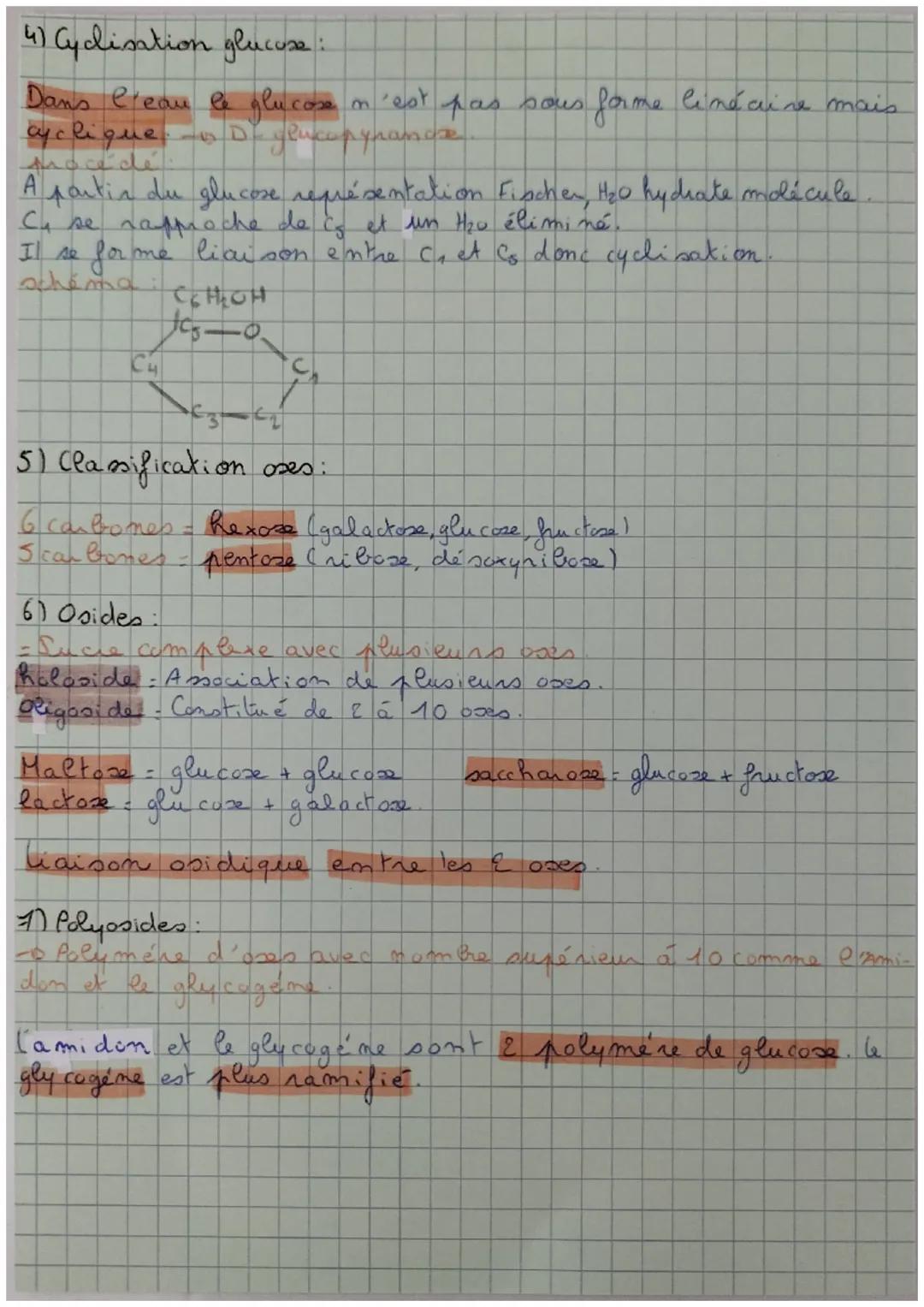 Bilan bio: Structures glucides

11 Intro
Glucides, nounce énergie, indispensables muscles et
cuveau
• peuvent être stockés sous forme glycog